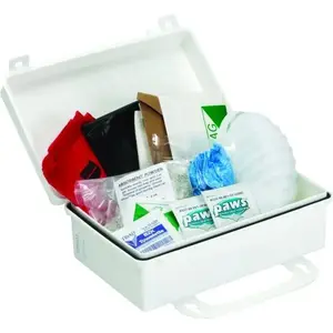 Certified Safety FK200-902 Body Fluid And Spill Cleanup Kit