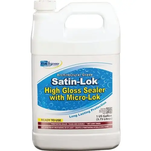 1 Gallon Satin-Lok High Gloss Surface Sealer With Micro-Lok