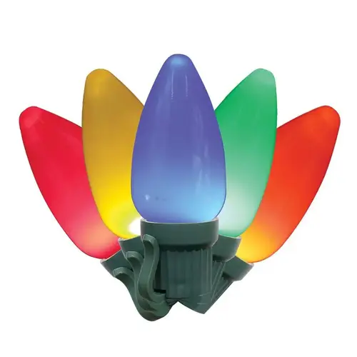 Celebrations Classic LED C9 String Lights