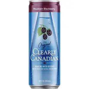 Clearly Canadian 355B-US-104P Sparkling Spring Water Black Berry 12 fl. oz.