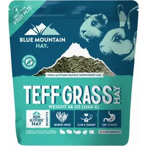 Blue Mountain Hay TGH-48OZ 48OZ Teff Grass Hay