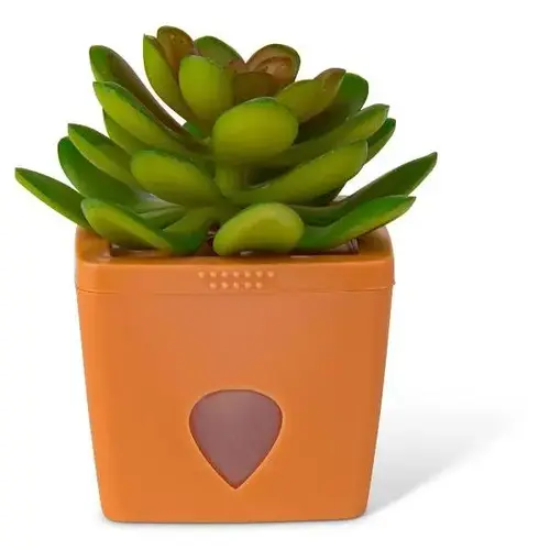 Jt Eaton Zendozones Fruit Fly Trap, Terracotta Base, Serene Sandy Case Of 6 Jt Eaton Zendozones Fruit Fly Trap, Terracotta Base, Serene Sandy Case Of 6