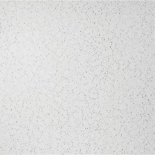 Genesis 2ft X 2ft Printed PRO Lay In Ceiling Tile, Case Of 12 Genesis 2ft X 2ft Printed PRO Lay In Ceiling Tile, Case Of 12