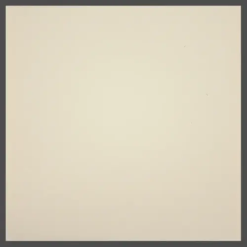 Recessed Box Caddy 1003-Bone, 8" x 18" Recessed Box Caddy 1003-Bone, 8" x 18"