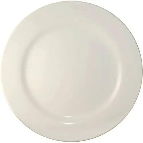 9.75 Inch Dinner Plate - pack of 24 9.75 Inch Dinner Plate - pack of 24