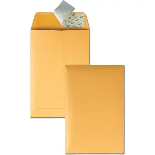Catalog Envelope 9"x 6" Self-Sealing Kraft - pack of 100 Catalog Envelope 9"x 6" Self-Sealing Kraft - pack of 100
