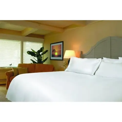 T300 Pillowcase Standard 42x36" White - pack of 72 T300 Pillowcase Standard 42x36" White - pack of 72