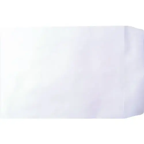 Hd Supply 272163 Mailing Envelopes, Peel & Seal, White, 9 X - pack of ...