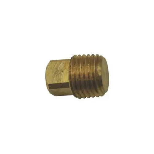 1/4 in. Brass Plug 1/4 in. Brass Plug