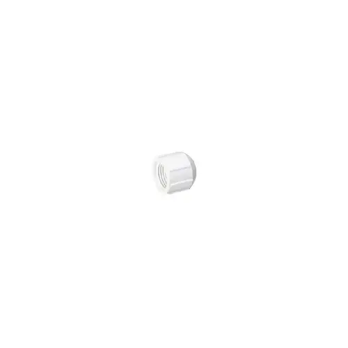 3/4 FPT Cap PVC Threaded 3/4 FPT Cap PVC Threaded