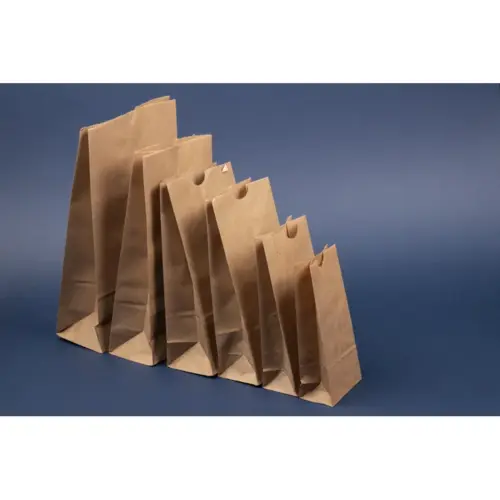Bag 2.83X1.6X6 IN Recycled Paper Natural - pack of 500 Bag 2.83X1.6X6 IN Recycled Paper Natural - pack of 500