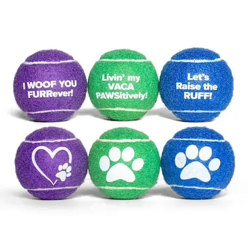 Dog Tennis Ball - pack of 25 Dog Tennis Ball - pack of 25