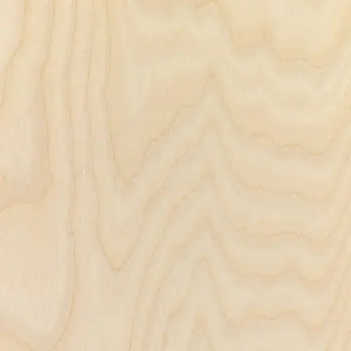 GLOBULUS Plywood - Birch on Multi-ply Veneer Core GLOBULUS Plywood - Birch on Multi-ply Veneer Core