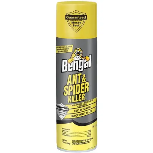 Bengal Ant and Spider Killer, Gasoline, Spray Application, Indoor, 16 oz Aerosol Bengal Ant and Spider Killer, Gasoline, Spray Application, Indoor, 16 oz Aerosol