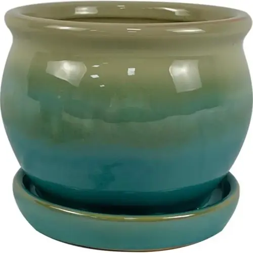 5" H X 6" W Ceramic Archdale Planter Moss Moss 5" H X 6" W Ceramic Archdale Planter Moss Moss
