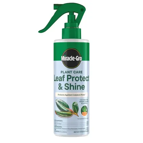 LEAF PROTECT & SHINE SPRAY 8OZ LEAF PROTECT & SHINE SPRAY 8OZ