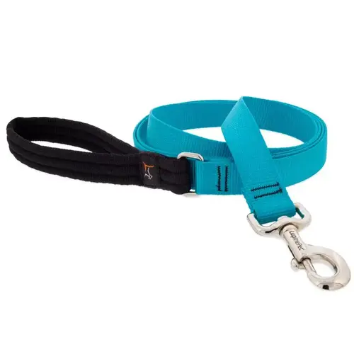 Aqua Nylon Dog Leash One Size Fits All Aqua Aqua Nylon Dog Leash One Size Fits All Aqua