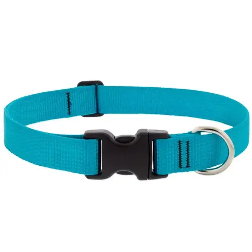 Aqua Nylon Dog Adjustable Collar Large/X-Large Aqua Aqua Nylon Dog Adjustable Collar Large/X-Large Aqua