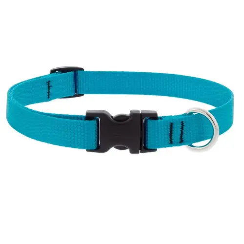 Aqua Nylon Dog Adjustable Collar Medium Aqua Aqua Nylon Dog Adjustable Collar Medium Aqua