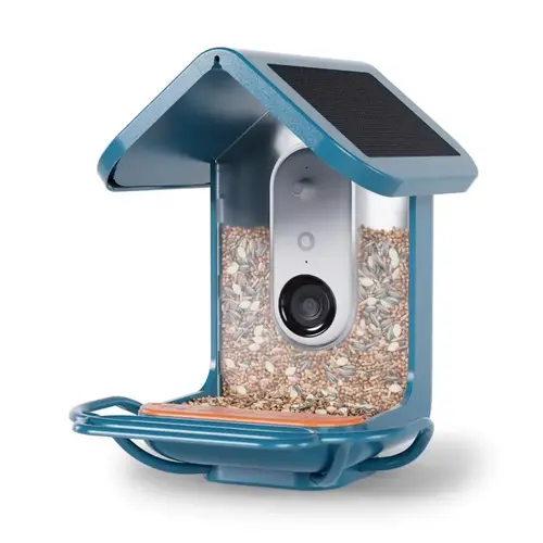 4 cups Plastic Perch Extender Smart-Enabled Smart Solar Camera Bird Feeder 1 ports Blue 4 cups Plastic Perch Extender Smart-Enabled Smart Solar Camera Bird Feeder 1 ports Blue