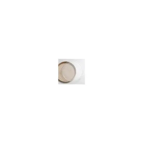 Lid 12 IN PET Clear Plain For Whole Pizza Box - pack of 100 Lid 12 IN PET Clear Plain For Whole Pizza Box - pack of 100