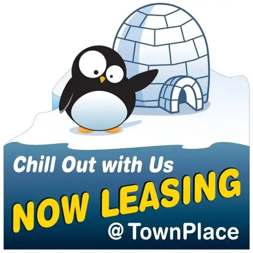 Coroplast Semi-Custom 2-Sided Reflective Sign, Cool Lease, 32 X 32 Coroplast Semi-Custom 2-Sided Reflective Sign, Cool Lease, 32 X 32