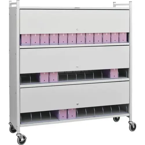 Omnicart Locking Chart Rack In Woodgrain Holds 36 Binders Panel 3x12" Omnicart Locking Chart Rack In Woodgrain Holds 36 Binders Panel 3x12"