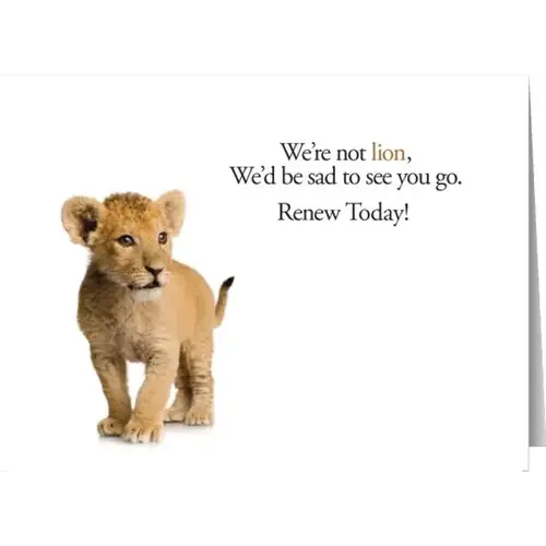 Personalized Simpleside Greeting Cards, Big Kitty Design, No Envelope Imprint - pack of 50 Personalized Simpleside Greeting Cards, Big Kitty Design, No Envelope Imprint - pack of 50