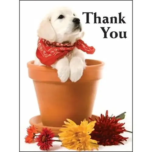 Personalized Card, Thank You/puppy Design, No Envelope Imprint - pack of 50 Personalized Card, Thank You/puppy Design, No Envelope Imprint - pack of 50