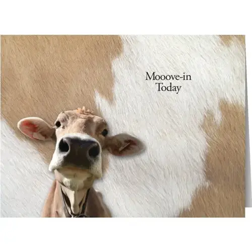 Personalized Simpleside Card, Udderly Fantastic Envelope Imprint - pack of 50 Personalized Simpleside Card, Udderly Fantastic Envelope Imprint - pack of 50