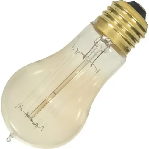 Vintage A Bulb, 40 Watt, Cage, 120 Volt - pack of 10 Vintage A Bulb, 40 Watt, Cage, 120 Volt - pack of 10