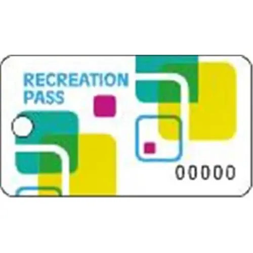 Write-On Plastic Pool Permit Tag - pack of 100 Write-On Plastic Pool Permit Tag - pack of 100
