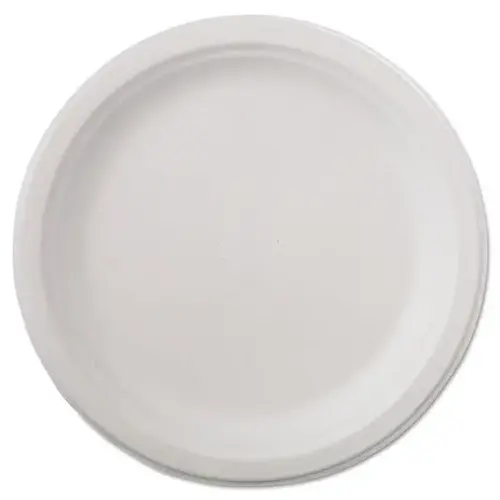White Classic Paper Round Dinnerware Plate 9-3/4" - pack of 500 White Classic Paper Round Dinnerware Plate 9-3/4" - pack of 500