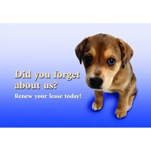 Post Card, "don't Forget About Us" Design - pack of 50 Post Card, "don't Forget About Us" Design - pack of 50