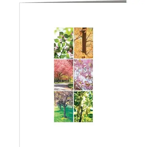 Personalized Greeting Card, Four Seasons Design Envelope Imprint - pack of 100 Personalized Greeting Card, Four Seasons Design Envelope Imprint - pack of 100