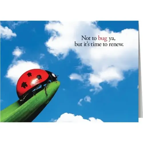 Personalized Simpleside Card, Lady-Bug-Ya Design Envelope Imprint - pack of 50 Personalized Simpleside Card, Lady-Bug-Ya Design Envelope Imprint - pack of 50