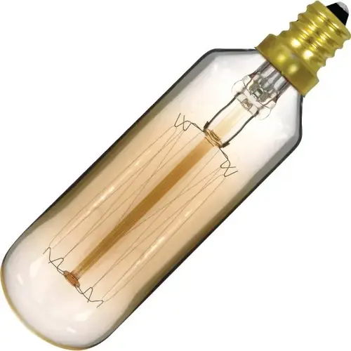 T9 Bulb 40w Vintage Cage 120v - pack of 10 T9 Bulb 40w Vintage Cage 120v - pack of 10