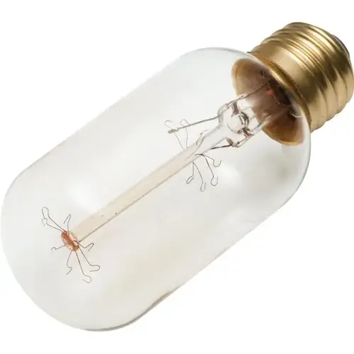 Vintage T-14 Bulb, 40 Watt, Cage, 120 Volt - pack of 10 Vintage T-14 Bulb, 40 Watt, Cage, 120 Volt - pack of 10