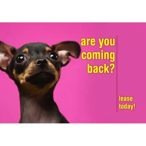 Postcard "are You Coming Back", Dog Design, Back Personalization - pack of 50 Postcard "are You Coming Back", Dog Design, Back Personalization - pack of 50