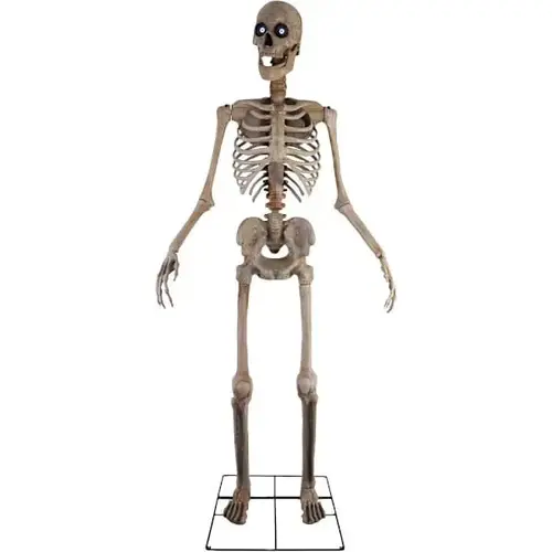 8 ft Motion-Activated Towering Skeleton 8 ft Motion-Activated Towering Skeleton