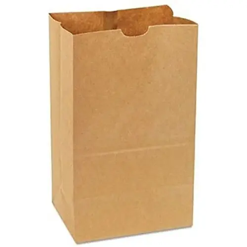 Duro Husky Bag 2 LB Paper Kraft - pack of 400 Duro Husky Bag 2 LB Paper Kraft - pack of 400