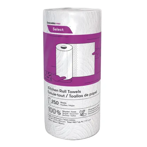 Cascades PRO Household & Kitchen Roll Paper Towel Jumbo 2PLY - pack of 12 Cascades PRO Household & Kitchen Roll Paper Towel Jumbo 2PLY - pack of 12