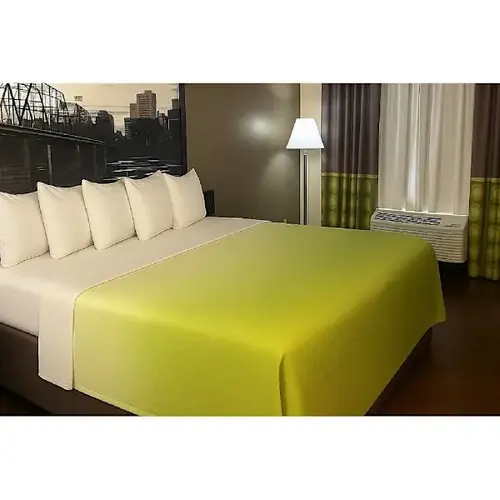 King Ombr Lime Top Sheet Simply Ready Stain Resistance - pack of 12 King Ombr Lime Top Sheet Simply Ready Stain Resistance - pack of 12