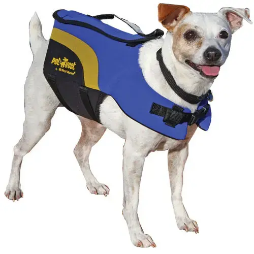 Neoprene Pet Life Jacket, Medium Blue Neoprene Pet Life Jacket, Medium Blue