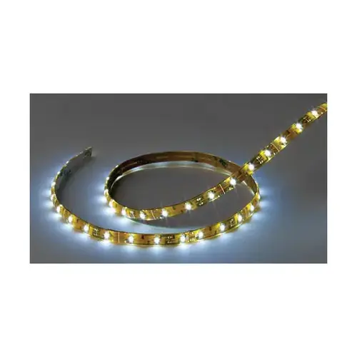 Flexible LED Strip Tape 24V DC Cool White 8 ft Length with Wire Leads IP65 Flexible LED Strip Tape 24V DC Cool White 8 ft Length with Wire Leads IP65