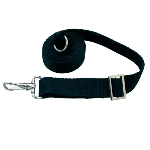 TAYLOR MADE PRODUCTS 1 inch X 6 ft Bimini Straps White 2000