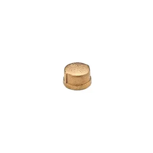 Bronze Cap 1" NPT Bronze Cap 1" NPT