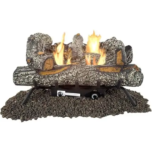 24 In. L 30,000 BTU Black Forest Vent-Free Gas Logs 24 In. L 30,000 BTU Black Forest Vent-Free Gas Logs