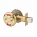 Satin Brass