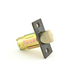 Bright Brass